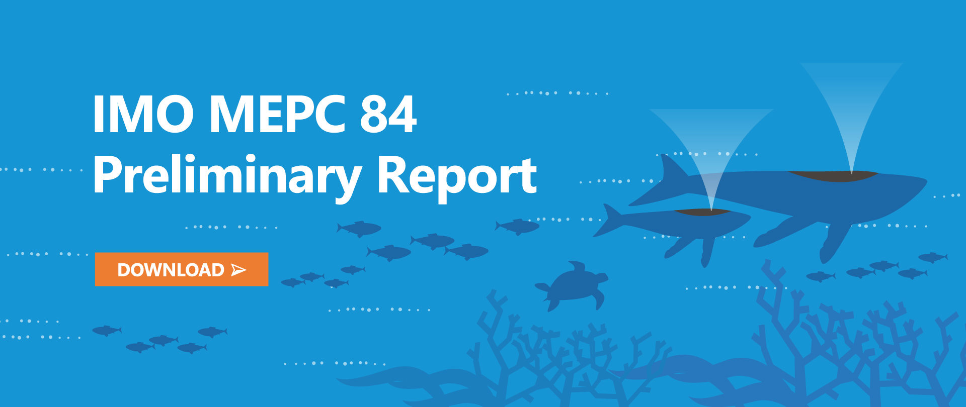 Preliminary Report of IMO MEPC 84
