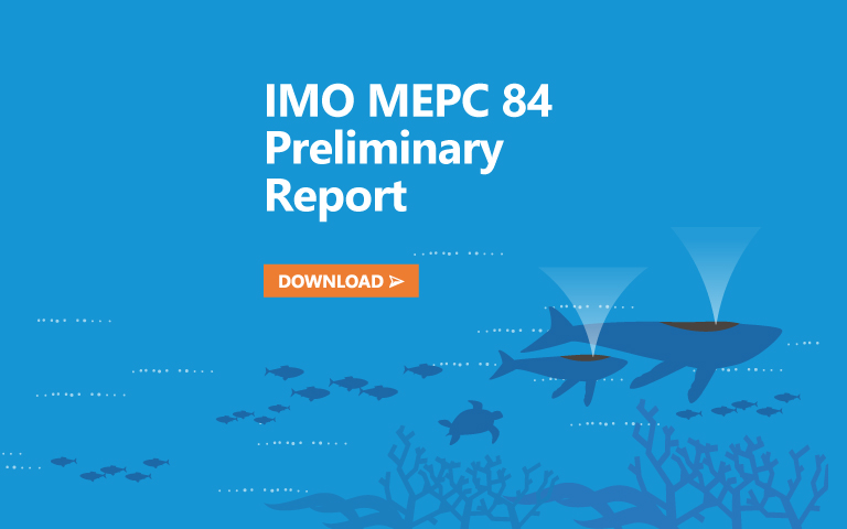 Preliminary Report of IMO MEPC 84